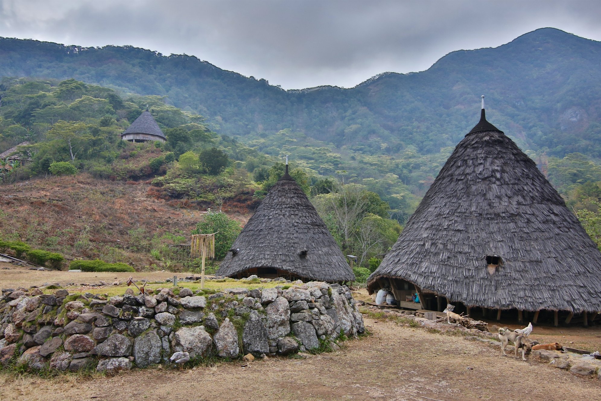 Place & city info Wae Rebo Merapi Tour & Travel Mbaru Niang the traditional house @ Wae Rebo village NTT